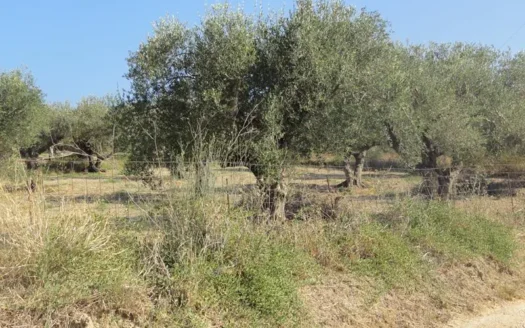 Kalives, plot for sale on Crete