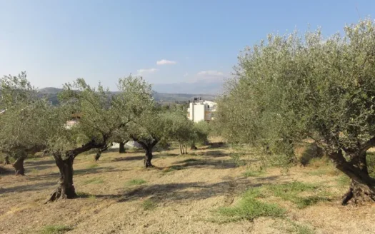 Kalives, plot for sale on Crete