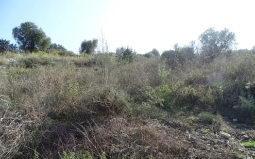 Kalives. A large plot of land for sale on Crete