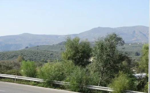 Kalives. A large plot of land for sale on Crete
