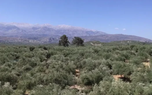 Kalives,land for sale on Crete