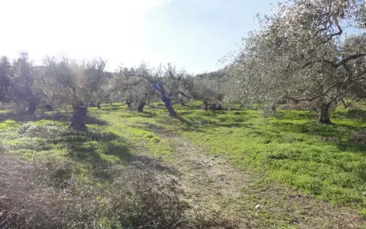 Kalives ,land for sale on Crete