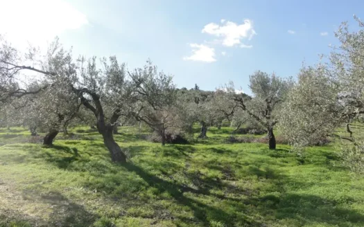 Kalives ,land for sale on Crete