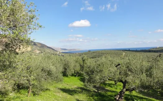 Kalives ,land for sale on Crete
