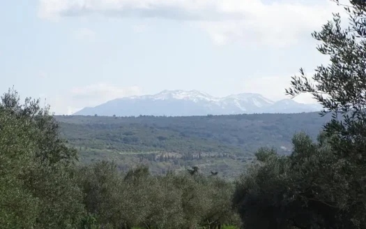Kalives, land for sale on Crete.