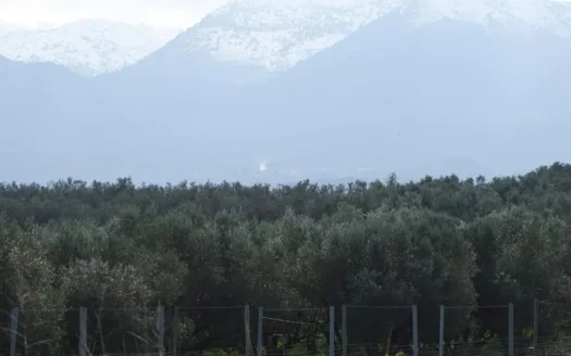 Kalives, land for sale on Crete.