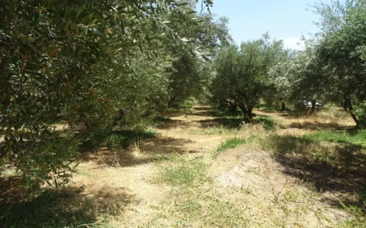 Kalives,land for sale on Crete