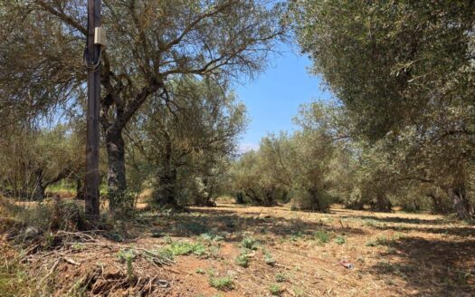 Armenoi, plot for sale.