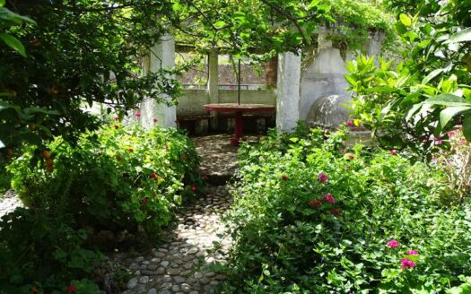 Selia, apartment for rent