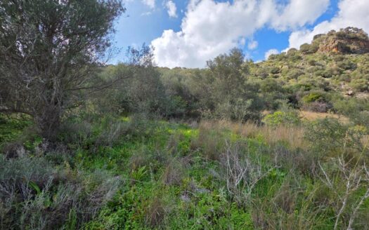 Stylos, plot for sale