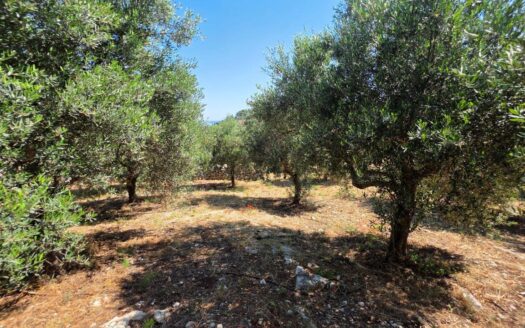 Tsivaras, plot for sale with building permit for a 140 sq.m