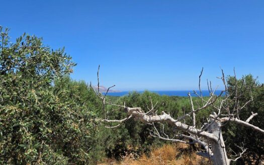Plaka Apokoronas, a beautiful Sea View Plot with Traditional Buildings for Restoration