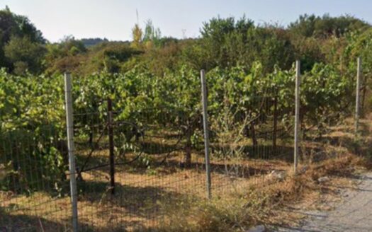 Vamos, land (vineyard) for sale