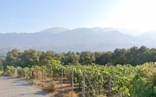 Vamos, land (vineyard) for sale