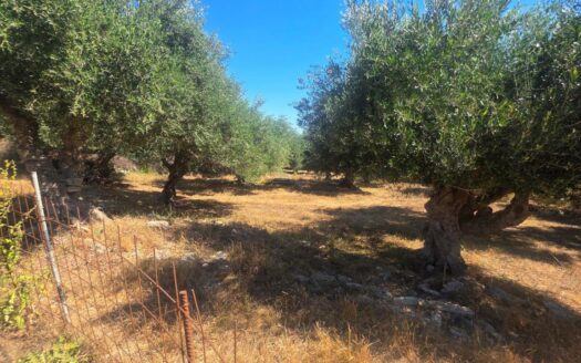 Agios Paulos plot for sale