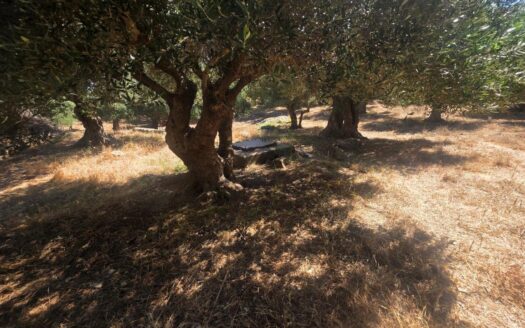 Agios Paulos plot for sale