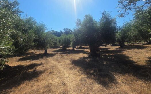 Agios Paulos plot for sale