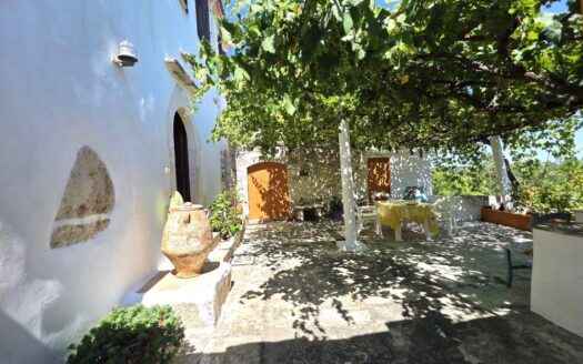 Agios Pavlos Gavalochori. Traditional Property for Sale