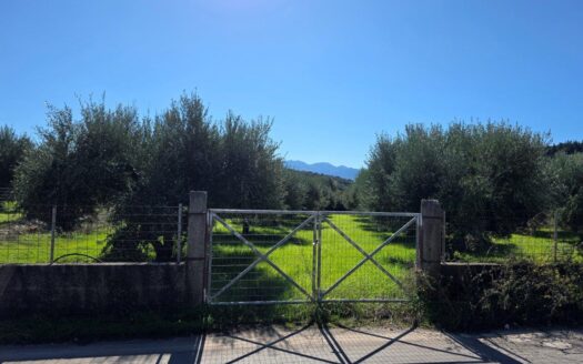 Plot of Land for Sale in Vamos, Apokoronas, Crete – 2,582 sqm with Mountain Views