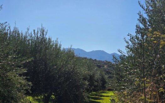 Plot of Land for Sale in Vamos, Apokoronas, Crete – 2,582 sqm with Mountain Views