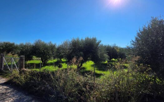 Plot of Land for Sale in Vamos, Apokoronas, Crete – 2,582 sqm with Mountain Views